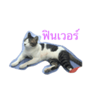 meow meow ja（個別スタンプ：8）