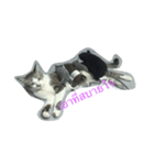 meow meow ja（個別スタンプ：11）