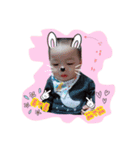 Danny baby 2（個別スタンプ：2）