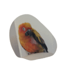 luvly KIMJU（個別スタンプ：4）