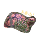 Turtle children's daily life（個別スタンプ：5）