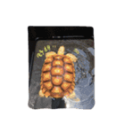 Turtle children's daily life（個別スタンプ：13）