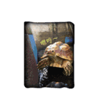 Turtle children's daily life（個別スタンプ：22）