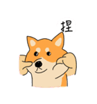 Shiba Inus（個別スタンプ：1）