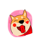 Shiba Inus（個別スタンプ：2）