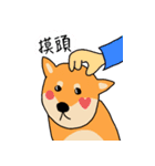 Shiba Inus（個別スタンプ：3）