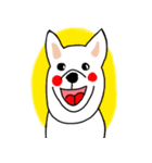 Shiba Inus（個別スタンプ：5）