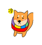 Shiba Inus（個別スタンプ：16）