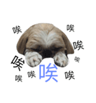 shabubu（個別スタンプ：8）