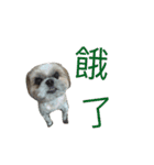 shabubu（個別スタンプ：11）