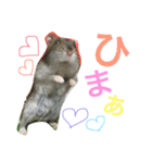 ジャンガリアンハムスターのおこめたん（個別スタンプ：9）
