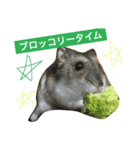 ジャンガリアンハムスターのおこめたん（個別スタンプ：12）