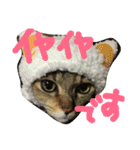 かわいいモーちゃんスタンプ（個別スタンプ：1）