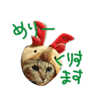 かわいいモーちゃんスタンプ（個別スタンプ：12）