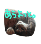 かわいいモーちゃんスタンプ（個別スタンプ：14）