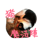 かわいいモーちゃんスタンプ（個別スタンプ：15）