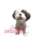Mojo is dog（個別スタンプ：4）
