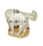 白猫みいこ vol.1（個別スタンプ：12）