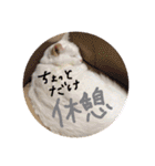 白猫みいこ vol.1（個別スタンプ：14）