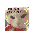 白猫みいこ vol.1（個別スタンプ：31）