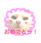 白猫みいこ vol.1（個別スタンプ：33）