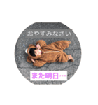 アマココ（個別スタンプ：6）