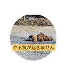 アマココ（個別スタンプ：8）
