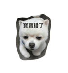 Boget（個別スタンプ：5）