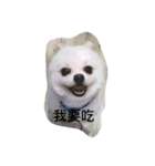 Boget（個別スタンプ：7）