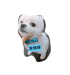 Boget（個別スタンプ：8）