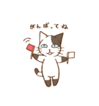 笑ねこ日和 〜笑ねこシリーズ②〜（個別スタンプ：19）
