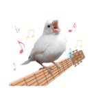 Cute little birds（個別スタンプ：2）