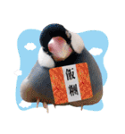 Cute little birds（個別スタンプ：8）