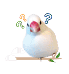 Cute little birds（個別スタンプ：17）