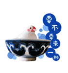 Cute little birds（個別スタンプ：18）