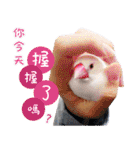 Cute little birds（個別スタンプ：20）