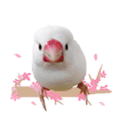 Cute little birds（個別スタンプ：23）