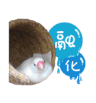 Cute little birds（個別スタンプ：24）