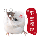 Cute little birds（個別スタンプ：26）