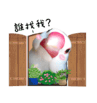 Cute little birds（個別スタンプ：27）