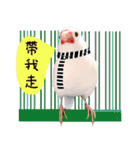 Cute little birds（個別スタンプ：29）