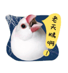 Cute little birds（個別スタンプ：32）
