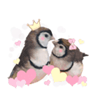 Cute little birds（個別スタンプ：33）