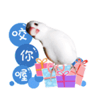Cute little birds（個別スタンプ：34）