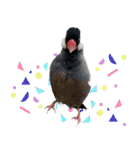 Cute little birds（個別スタンプ：38）