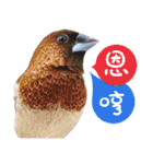 Cute little birds（個別スタンプ：39）