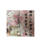 ルチルとセレナ（個別スタンプ：4）