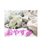 ルチルとセレナ（個別スタンプ：6）