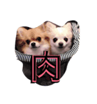 ルチルとセレナ（個別スタンプ：8）