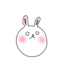 白目の、うさぎ（個別スタンプ：1）